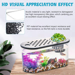 Qpets Betta Fish Tank for Home and Office Decor featuring Hydroponic Pot and Air Lid 32cmX16cm