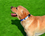 Qpets Dog Collar for Small Medium and Large Breeds with Safety Buckle & D Ring | 3 PCS Adjustable Nylon Patterned Set Size L 40 60cm