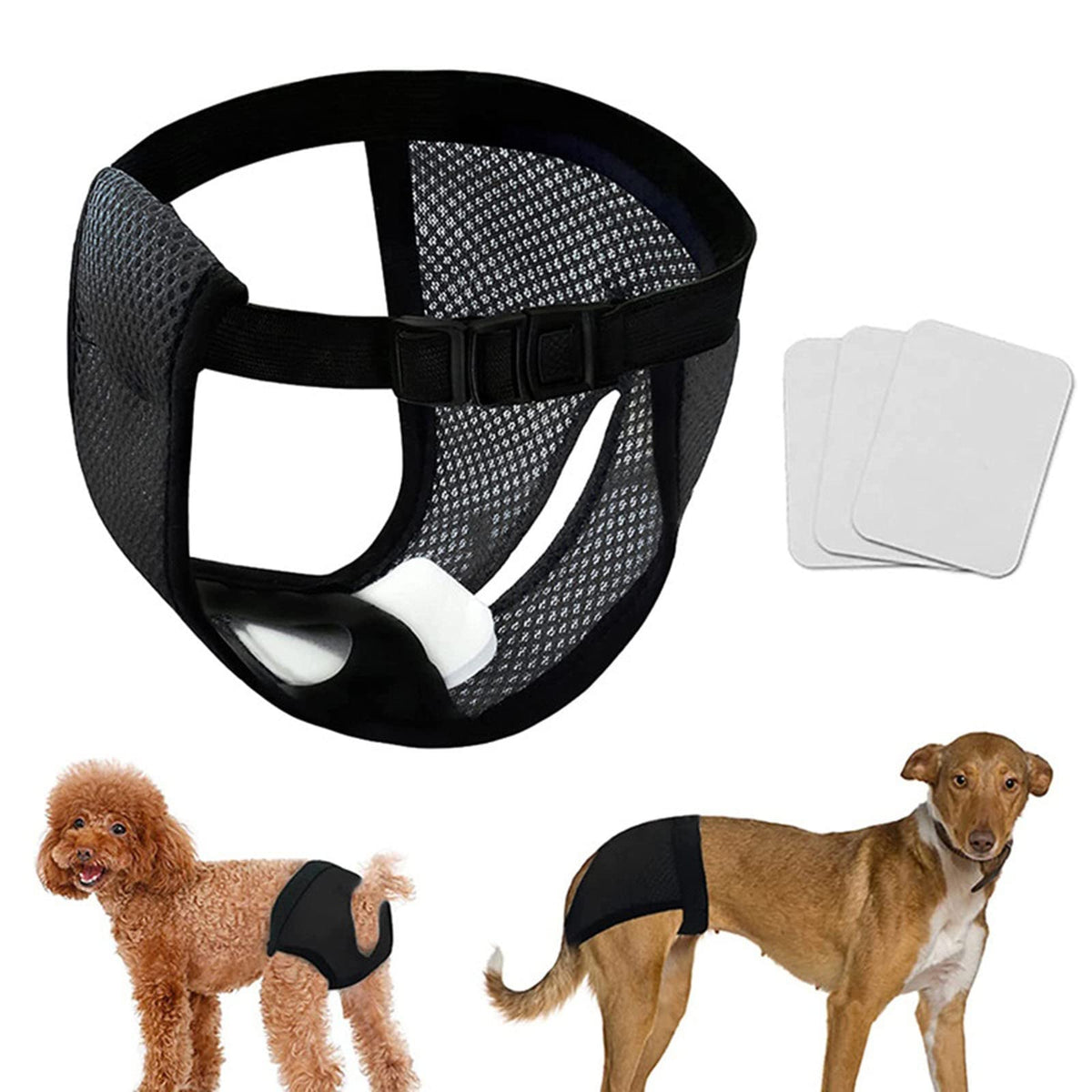 Qpets Dog Diapers for Female Dogs with 9 Absorbent Cotton Pads and Elastic Waist | Washable Mesh Fabric Comfort Fit 15.7–19.2 in