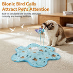 Qpets Rechargeable Interactive Cat Game with LED, Moving Feathers and Adjustable Speed Modes