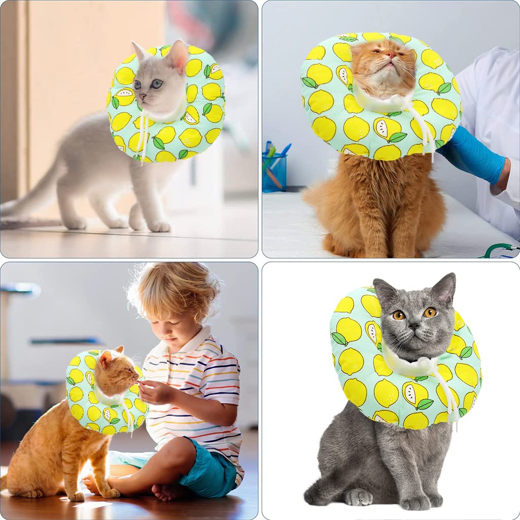 Qpets Cat Cone Collar for Surgery Recovery featuring Adjustable 12–22 cm Neck Size | Soft PP Cotton Machine Washable Design