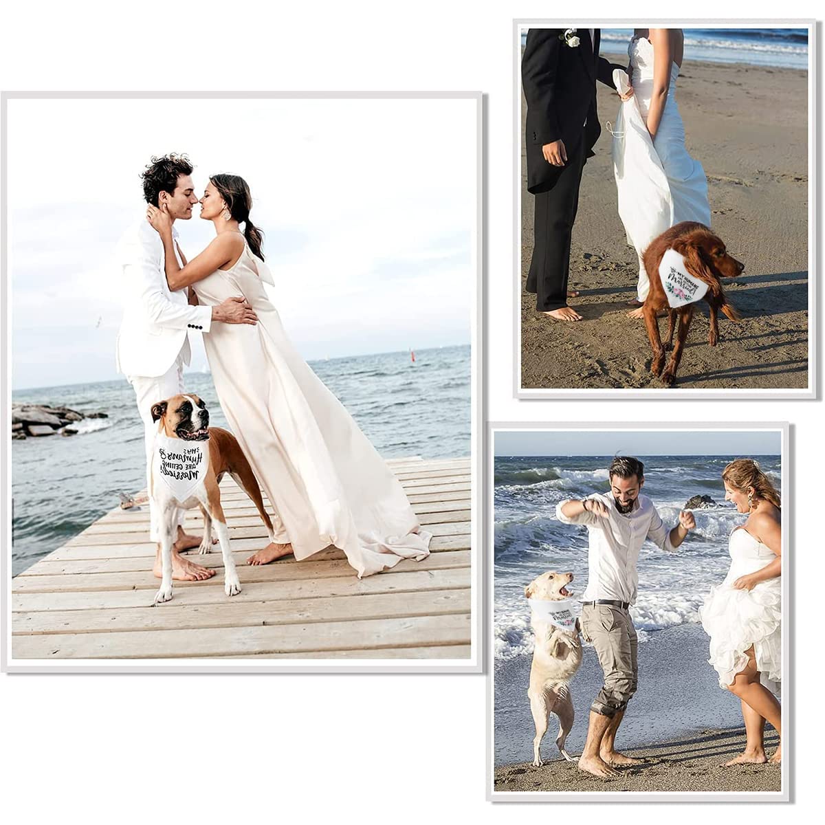 Qpets Dog Bandana Scarf for Wedding and Engagement Photos featuring 70×35×35 cm Fabric | Cat Friendly