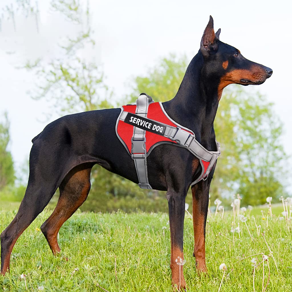 Qpets Dog Harness for Large Dogs with 2 Metal Leash Rings and Quick Release Buckle | Reflective Oxford Design for 23–30 kg Pets