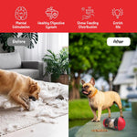 Qpets Dog Treats Dispenser for Slow Feeding with Dual Rotatable Openings and Food‑Grade PP ABS