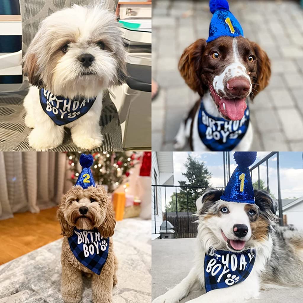 Qpets Dog Birthday Party Hat Set with 40cm Bandana and Customizable Age Label | Blue