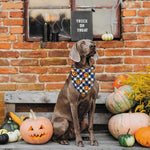 Qpets Halloween Dog Bandanas for Festive Parties with Pumpkin and Ghost Prints | 2Pack Adjustable Polyester Scarves for Small Medium Dogs
