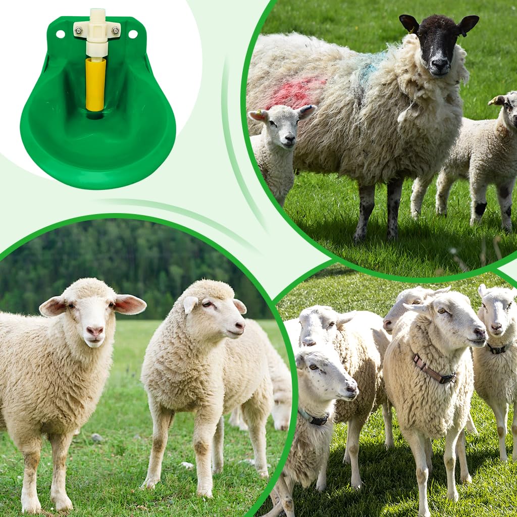 Qpets Sheep Water Bowl with Float Valve and Screw-Fixed Mount | G1/2 Fitting for Goats