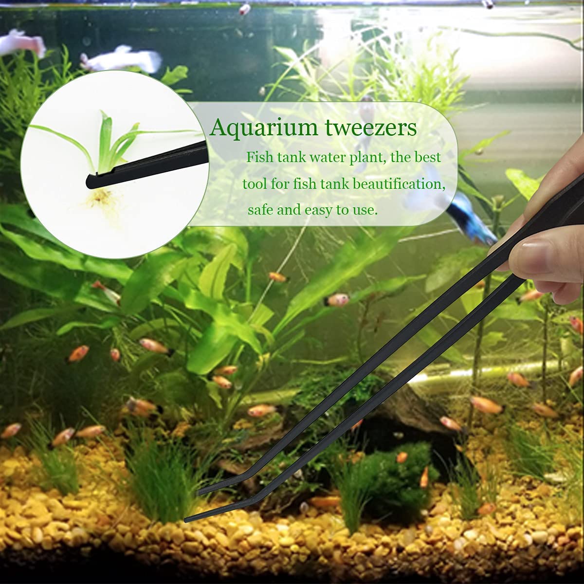 Qpets Aquarium Aquascaping Tools for Fish Tank with Pointed and Curved Tweezers 27cm Stainless Steel