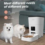 Qpets Automatic Pet Feeder with WiFi App Control and Dual Power | 3L BPA-Free Food Dispenser
