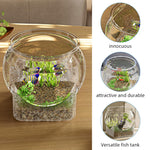 Qpets Betta Fish Aquarium Tank for Home or Office Décor with 12.5cm Round Bowl | PET Material and Decorative Stand