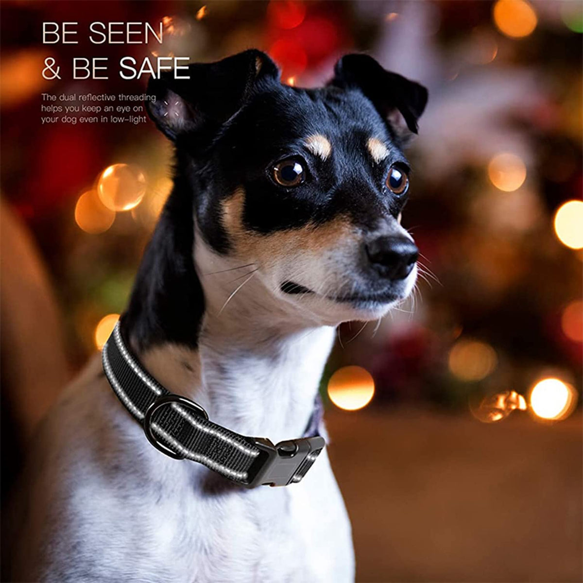 Qpets Dog Collar for Medium and Large Dogs with Quick Release Buckle and Reflective Strip 18.9–23.2 in | Nylon Padded Training Collar