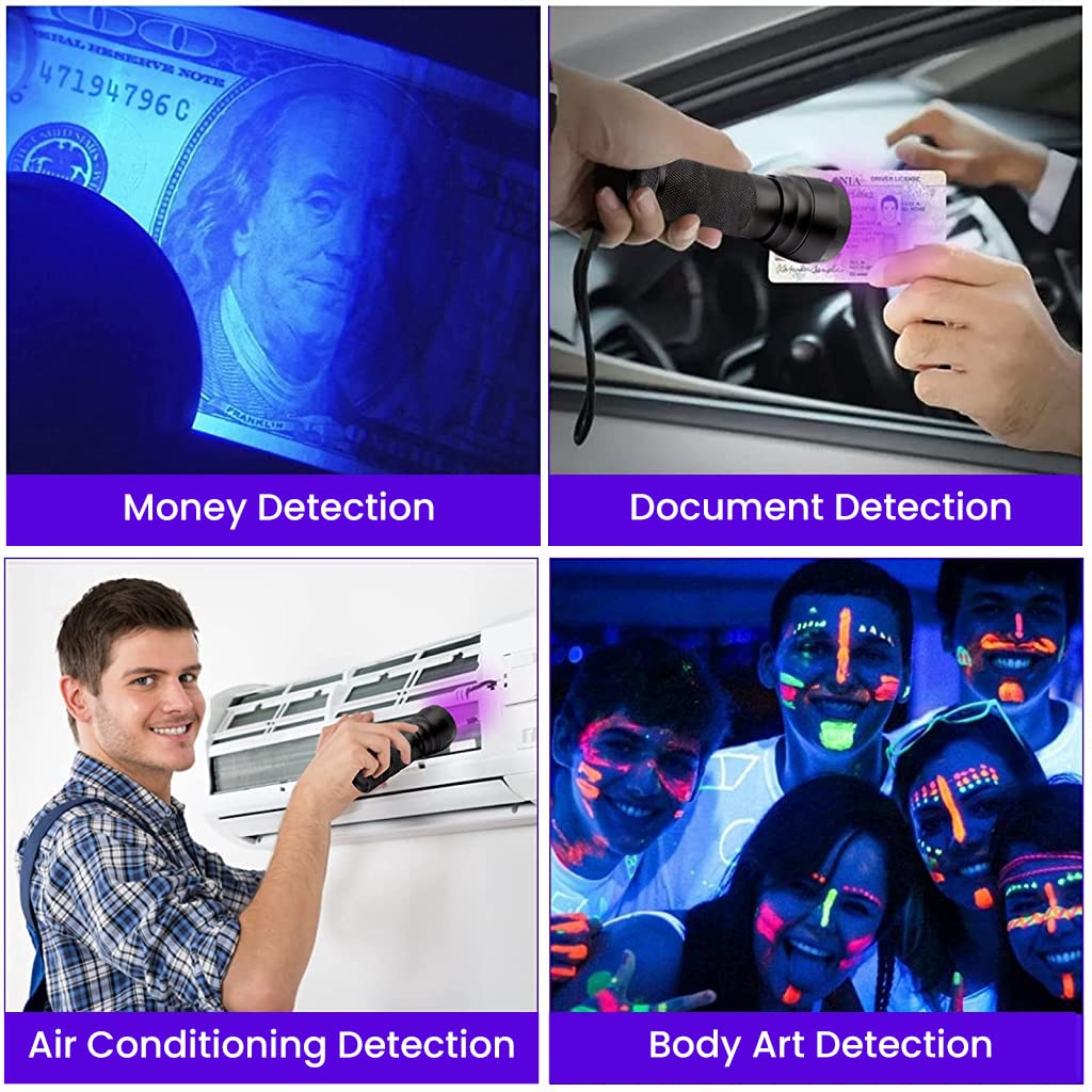 Qpets UV Light Torch for Pet Stain Detection with 21 LEDs 395nm Beam and Aluminum Alloy Body