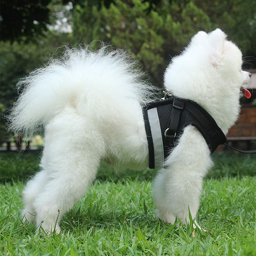 Qpets Cat Harness for Small Pets featuring Velcro Adjustment and Reflective Strip | 120 cm Leash Set