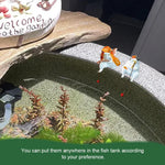 Qpets Fish Tank Accessories for Desk and Aquarium Decor with 2 in PVC Kitty Figurines 5 Pack