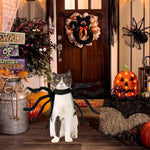 Qpets Halloween Dog Costume for Small Pets featuring 8-Claw Black Spider Design | Adjustable Fit