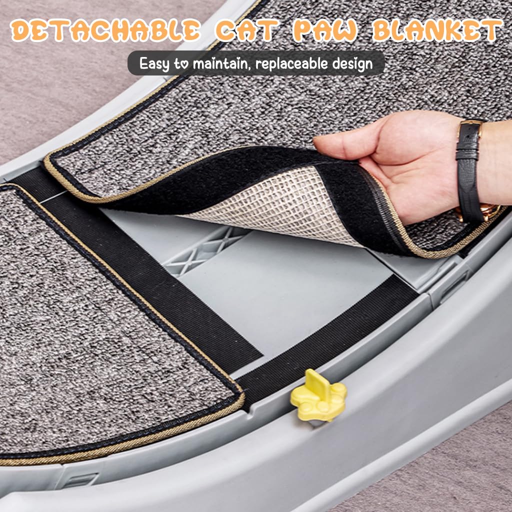 Qpets Cat Exercise Wheel for Running and Walking with Removable Scratcher Track 80x34cm | Silent Bearings and Anti Slip Base