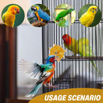 Qpets Bird Chew Toy for Small and Medium Parrots with Swiveling Design and Colorful Beads