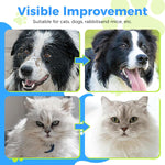 Qpets Pet Grooming Mitts for Dogs and Cats with Waterless Cleaning | 20 Count Pack