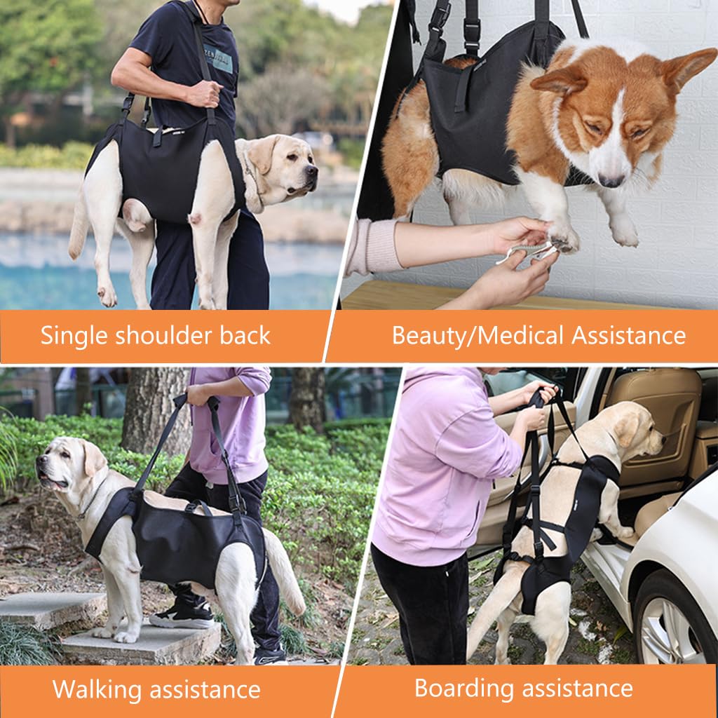 Qpets Dog Lift Harness for Aging and Injured Dogs with 22 in Body Support & Quick Release Buckle