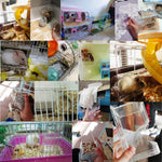 Qpets Small Pet Feeder with 300ml Capacity featuring Screw Kits and Clear Acrylic Design for Hamsters