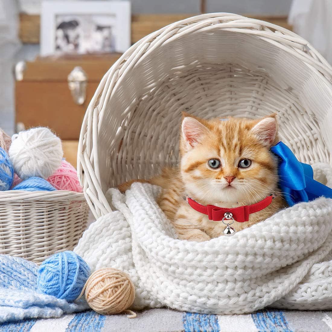 Qpets Cat Collar Combo with Bell and Breakaway Buckle featuring 33.5CM Velvet Red Design | Adjustable Gift Set for Small and Medium Cats