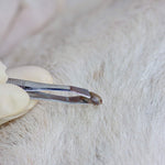 Qpets Dog Tick Flea Remover Kit with 14 Pieces Including Hooks Tweezers Comb and Case