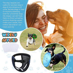 Qpets Dogs Diapers Female for Pet Use with 6 Absorption Cotton Pads | Breathable Mesh Fabric 2PCS