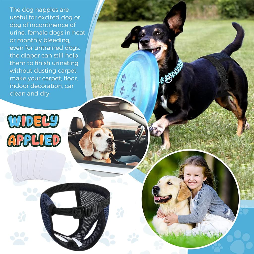 Qpets Female Dog Diapers for Heat and Incontinence with 6 Pads and Breathable Mesh Pants