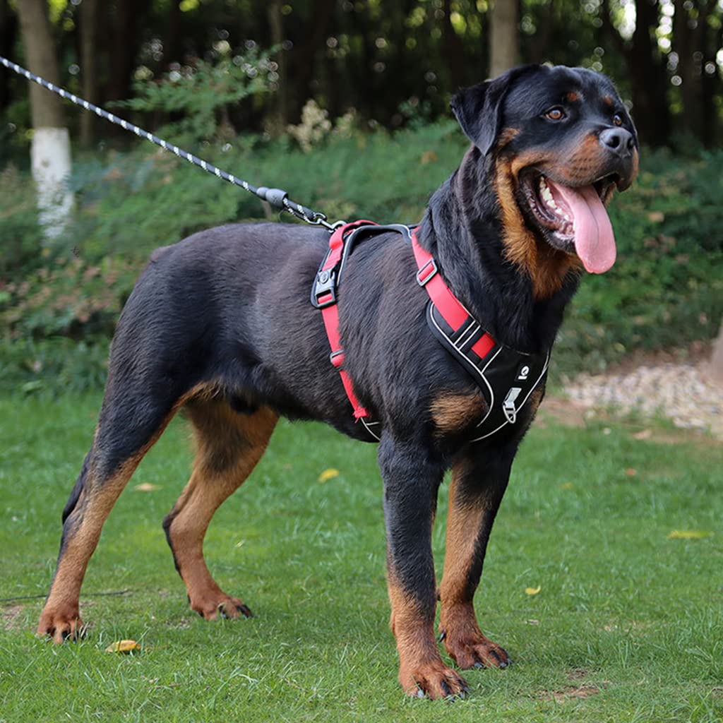 No Pull Dog Harness with Safety Reflective Strip Quick Release Buckle Adjustable Size Easy Control Handle for Small Medium Large Dog(Red,L, Recommended Weight: 14-22.5kg)