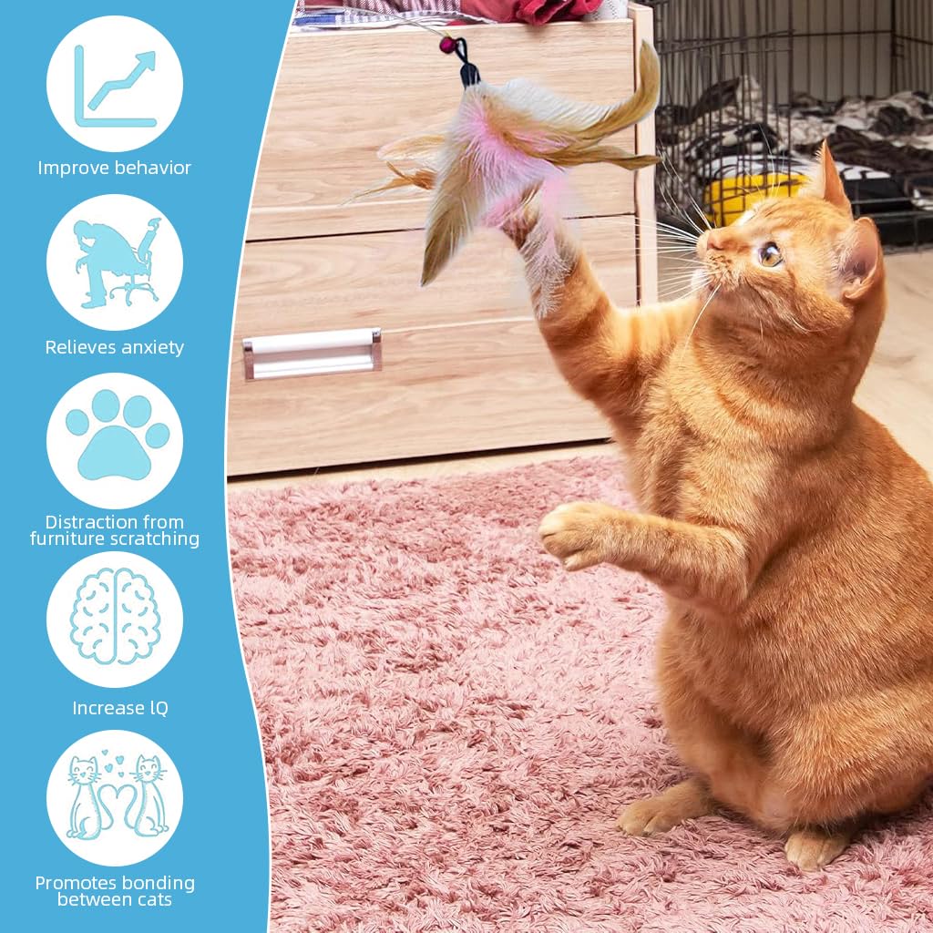 Qpets Cat Teaser Toy for Self Entertainment with Swivel Steel Wire and 5 Feather Charms