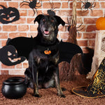 Qpets Bat Wing Costume for Cats and Puppies with Adjustable Hoop Loop | 42cm Black Felt Wings for Halloween Party