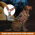 Qpets No Pull Dog Harness for Daily Walks with 59 inch Retractable Leash and Reflective Strips