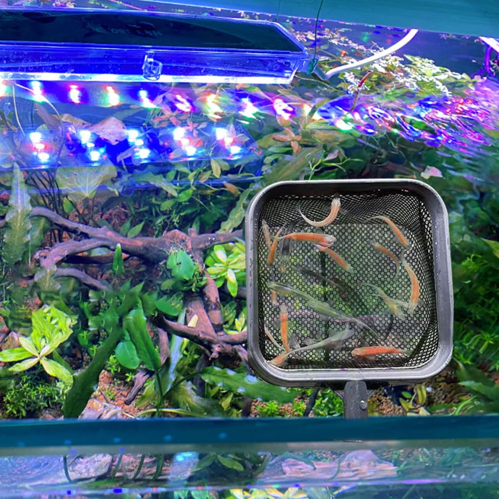 Qpets Aquarium Fish Net for Betta Tank featuring 3.1x3.1 in Square Frame and 18 in Retractable Handle