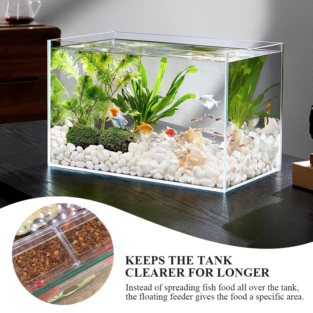 Qpets Floating Fish Feeder for Aquariums with Dual Open Design and Clear Acrylic Frame