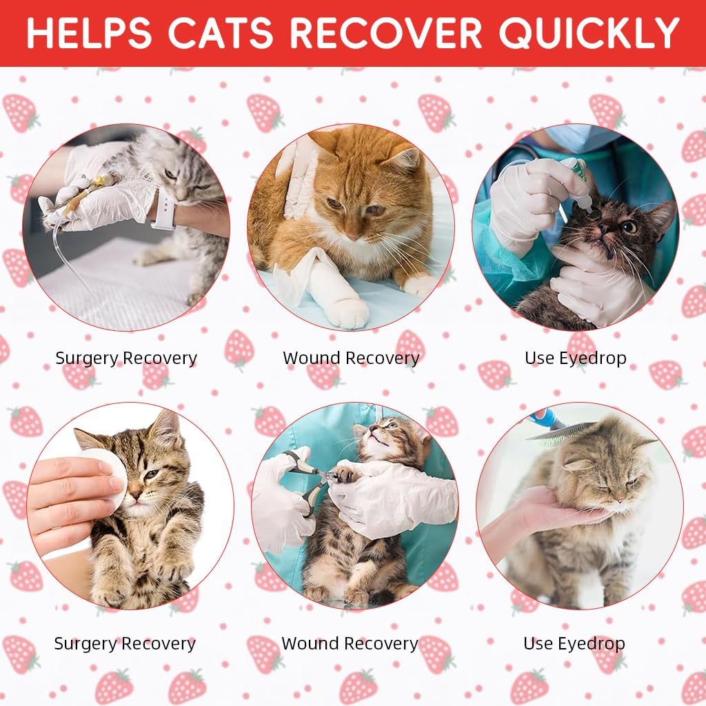 Qpets Cat Recovery Soft E Collar for Surgery Healing with Adjustable Cotton Drawstring 15–31 cm | Comfortable Anti Licking Pillow Design