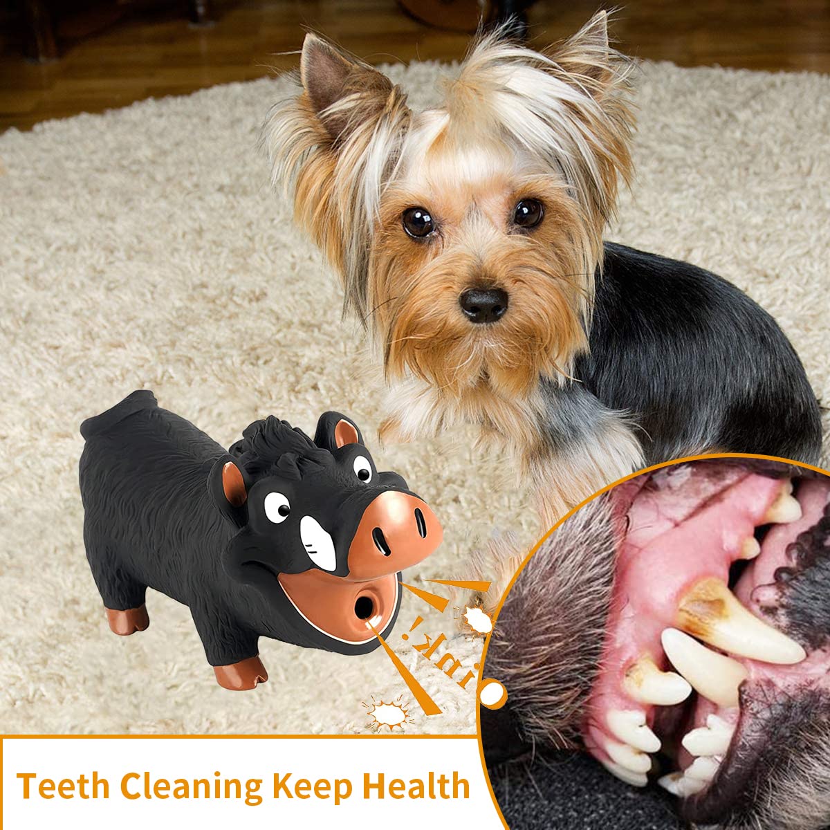 Qpets Squeaky Dog Toy for Interactive Play featuring Grunting Pig Sound and Soft Latex | Fun Fetch Training for Small and Medium Dogs