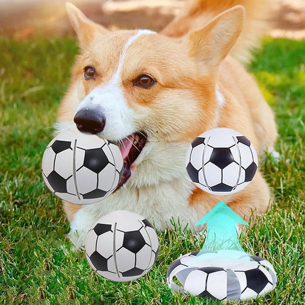 Qpets Dog Ball for Interactive Play featuring Transformable Saucer Design and LED Glow | Pet-Friendly Plastic Toy