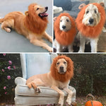 Qpets Lion Costume Set for Dogs with Adjustable Mane and Tail | Ideal for Halloween Parties