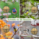 Qpets Metal Wire Bird Feeder for Suet Balls and Nuts featuring 2.76 in Ball Shape | Ideal for Garden and Balcony