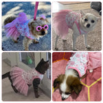 Qpets Dog Girl Dress for Small Breeds with Lace Skirt and Pink Flower Design | Chest 30cm