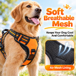 Qpets Size L Dog Harness with Adjustable Chest Fit, Reflective Strips and 1.5 m Leash