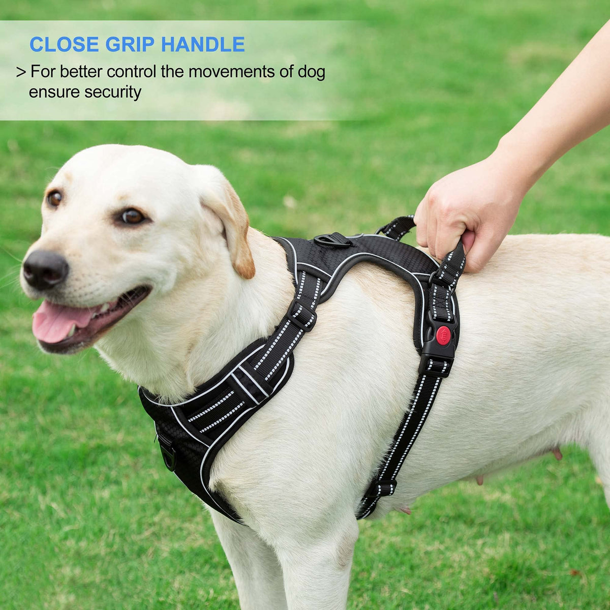 Dog Vest Dog Harness for Large Dog with 1.5m Dog Leash Dog Harness with Pulls Handle for Guide Dog, Large Dog, Adjustable Dog Vest Harness with Quick Release Buckle (Suitable 32.5-50kg)