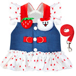 Qpets® Small Dog Harness and Leash Set, XL