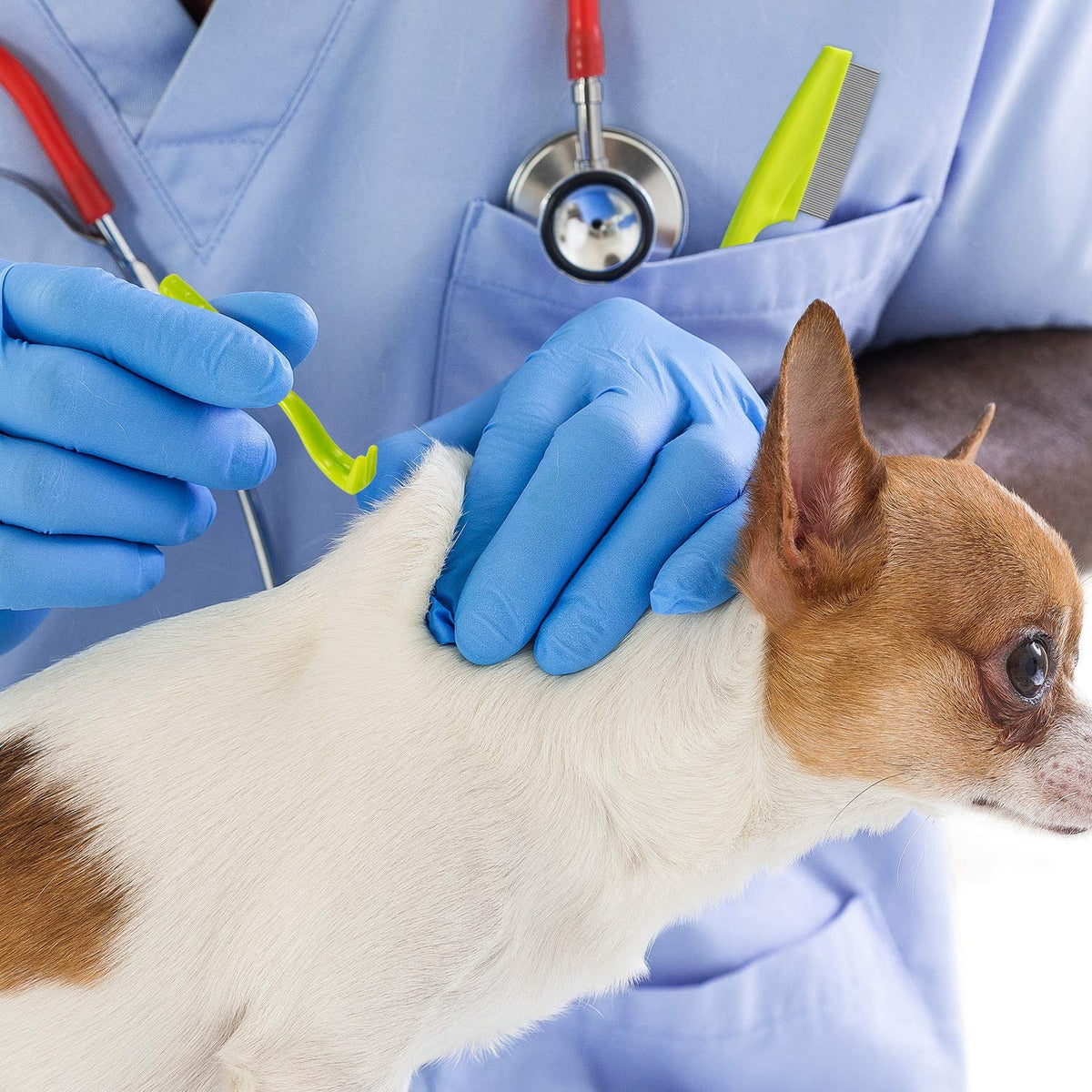 Qpets Dog Tick Remover Kit for Pets with 7 Pcs Set and Dual Head Tweezer | Stainless Steel Tools for Dogs and Cats