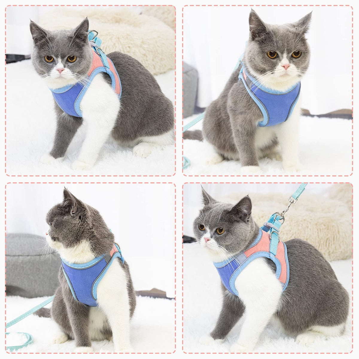 Qpets Cat Vest Harness with 1.5m Leash featuring 360° Swivel Clasp and Reflective Strip | Breathable Suede Fabric for Small Pets
