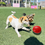 Qpets Dog Egg Bowl Toy for Slow Feeding and Dental Care with Non Toxic Rubber | Treat Dispenser