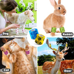 Qpets Crepe Bandage and Kinesiology Tape Set 9 Pcs for Sports and Pet Care | Self Adhesive Non Woven Elastic Wraps