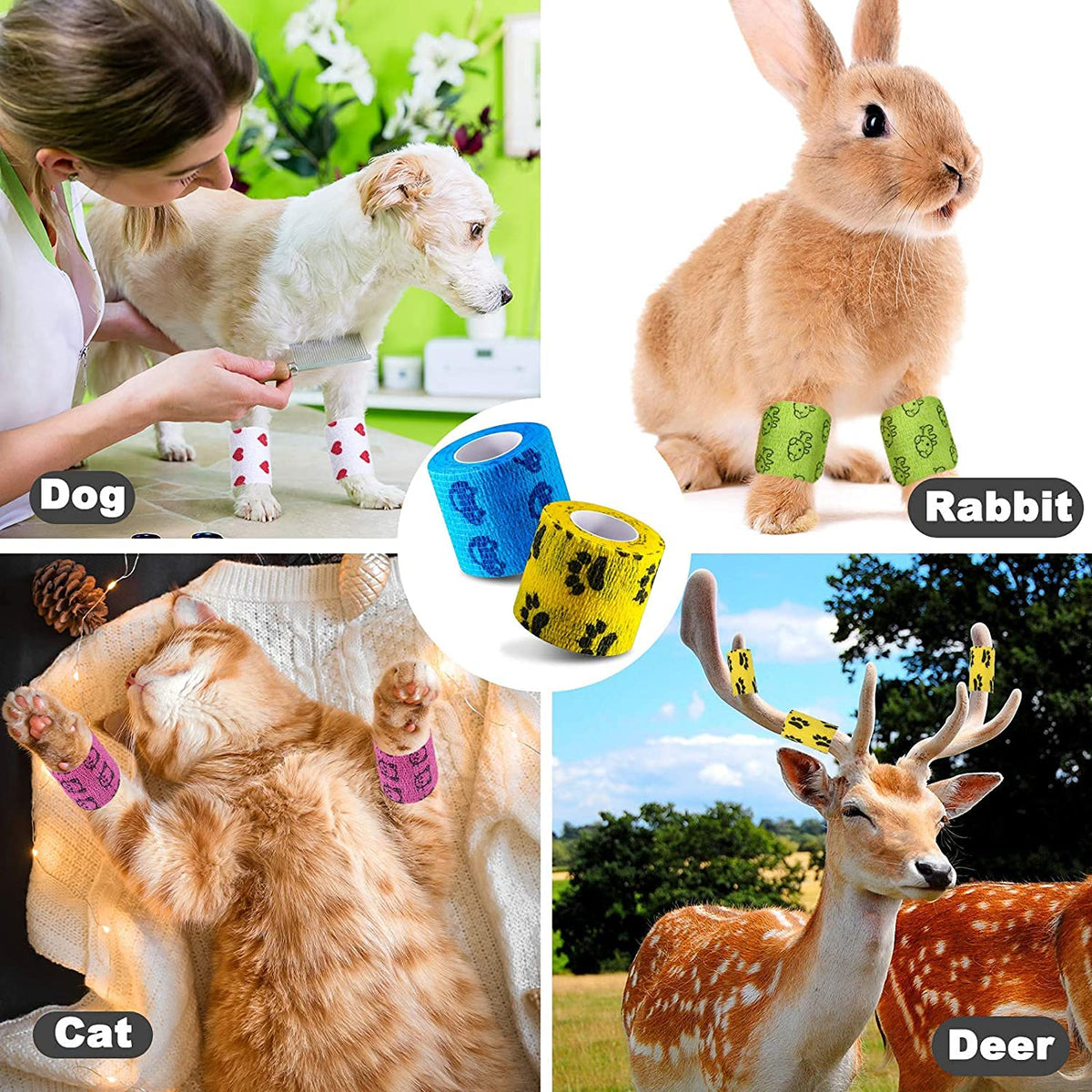 Qpets Kinesiology Tape for Physiotherapy and Vet Care with 6 Rolls 5 cm x 4.5 m | Clean Individually Wrapped Bandages for Pets and People