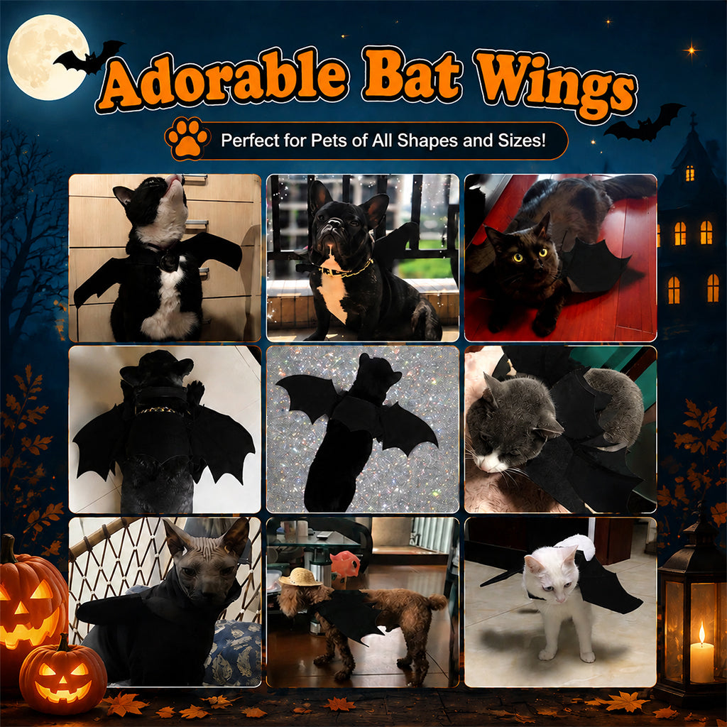 Qpets Bat Wing Costume for Cats and Small Dogs, Size L, 5mm Felt, Bell and Adjustable Straps