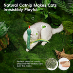 Qpets® Cat Realistic Catnip Crinkly Sound 1 Pcs